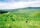 野狐嶺景區