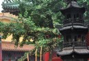 龍泉禅寺