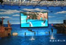 老虎灘海洋公園
