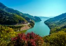 綠江村