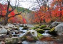 大地森林公園