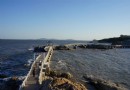 覺華島