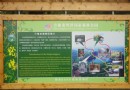 龍灣群國家森林公園