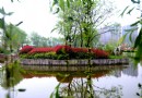 兒童公園