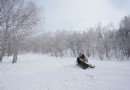 大禿頂子山