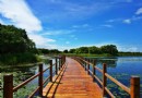 黑瞎子島濕地公園