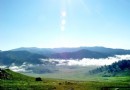 賀蘭山原始森林