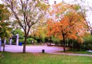 汾河公園