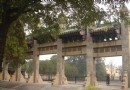 袁林