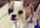 漯河大學