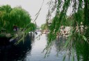 環城公園