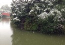 鏡湖公園