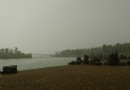龍子湖北公園