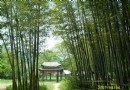馬鞍山濮塘