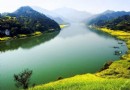 新安江山水畫廊