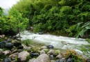 黃山翡翠谷