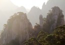 定海神針