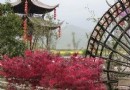 龍池灣