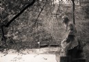 溫泉景區