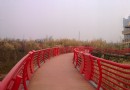 紅草湖濕地公園