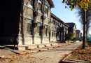 西北農林科技大學