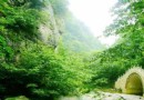 牛背梁國家森林公園