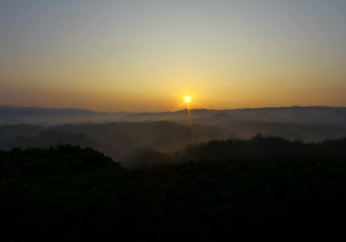 1483512164725826.png tumblr_inline_oj8n0kpkH91tvjluf_500.png