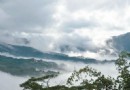 台南大凍山雲海現蹤 游客宛如置身仙境（圖）