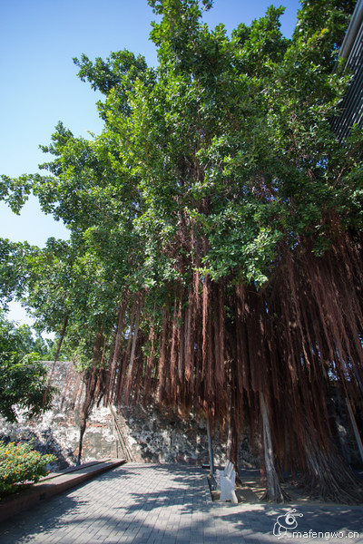 台南旅游攻略圖片