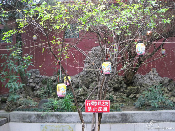 台南旅游攻略圖片