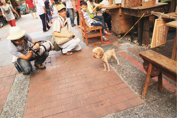 台南自助游圖片