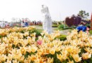 2017中社觀光花市郁金香花季 花期只到3月哦（下）