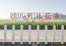 台中‧新社 | 2016新社花海，花海可以這樣拍