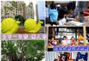 台中親子一日游懶人包～讓孩子玩一次就愛上