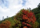 「武陵」深秋變裝秀 登場