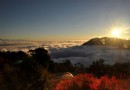 楓葉雲海日出一網打盡 秋冬大雪山宛如仙境