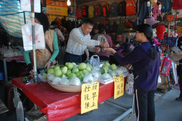 台中自助游圖片