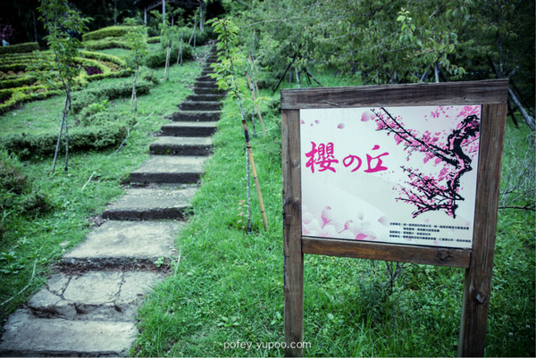 台灣旅游攻略圖片