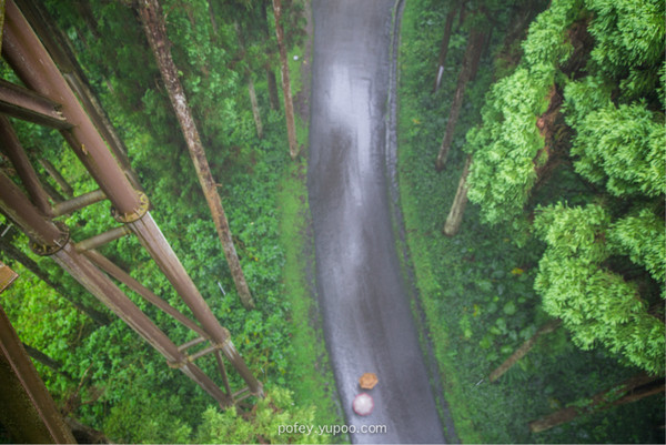 台灣自助游圖片