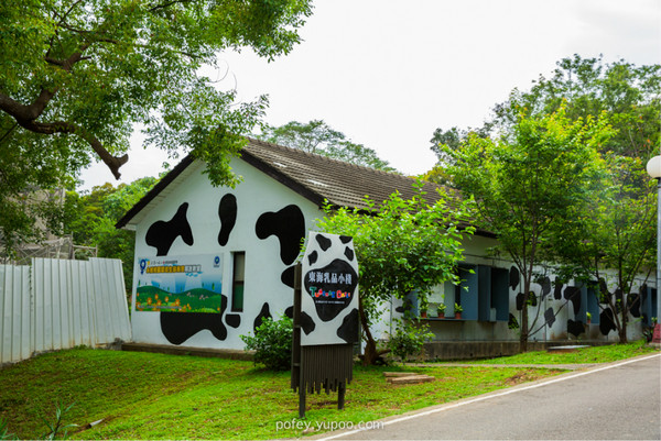 台灣自助游圖片