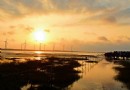 大美台中之高美濕地