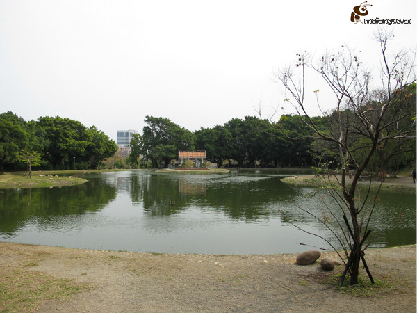 台中自助游圖片