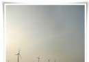 浪漫到很想閃婚的台中高美濕地
