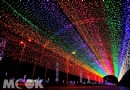 嘉義七彩缤紛彩虹光隧道 拍照聖地
