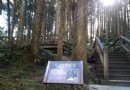到阿裡山森林游樂區 小笠原山一起來看日出（下）