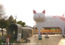 嘉義新港【板陶窯】交趾剪黏工藝園區，貓咪車站與貓咪站長超吸睛！
