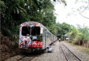 阿裡山郵輪式列車 幸福太平自然人文享樂行