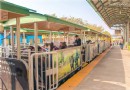 嘉義—— 戲劇拍攝景點『蒜頭蔗埕文化園區』＊糖廠五分車之旅