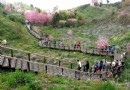 山間小徑－頂石棹步道群 漫步在雲端