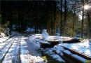 阿裡山夢幻雪景可望再現 賞雪景點懶人包